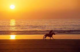 Maybe you would like to learn more about one of these? Galoppierendes Pferd Und Reiter Bei Sonnenuntergang Auf Sand Setzen Auf Den Strand Stockbild Bild Von Zeit Sonne 81781027