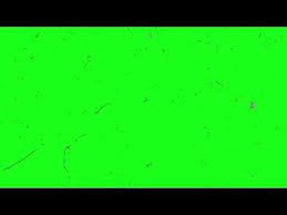 There’s no lab, just green. Aesthetic Green Screen 1 Dusty Youtube Greenscreen Green Aesthetic Green