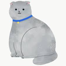 Scottish Fold Cat On A Gray Background Transparent Png Free Image By Rawpixel Com Nunny Cat Vector Cat Scottish Fold Cat Illustration