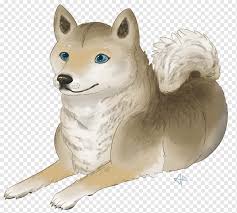 Prices denoted in btc, usd, eur, cny, rur, gbp. Hunderasse Shiba Inu Pomeranian Dogecoin Gemeiner Hund Tierfigur Rasse Carnivoran Png Pngwing