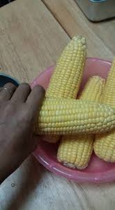Cara rebus jagung yang sedap. Buat Keluarga Yang Hantu Jagung Ni Petua Untuk Masak Lebih Sedap Cantik Rupanya Keluarga