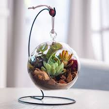 Succulent Terrarium