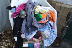 Multiple trauma survivor with dissociative identity disorder, diagnosed. This B C Cat Keeps Stealing People S Laundry By The Piles Williams Lake Tribune