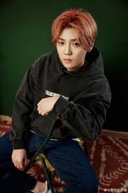 Penggemar exo pasti sudah tidak asing dengan sosok park . Luhan é¹¿ æ™— In 2021 Luhan Exo Music Exo Luhan
