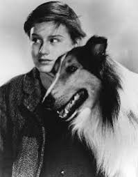 Lassie come home 07 october 2020 | screen rant. Lassie Come Home Movie Posters From Movie Poster Shop