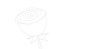J'ai donné conseil à plus de 3 millions d'internautes, guidé plus de 150'000 abonnés et enseigné à plus de 4000 élèves tous niveaux (amateurs, débutants, professionnels), que ce soit au. Comment Dessiner Une Rose Dessindigo