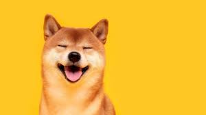 1920x1080 80 best images about doge on pinterest | the internet, laughing. Why Is Dogecoin Shooting Higher This Week