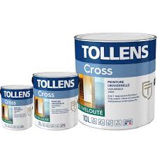 Peinture Professionnelle Tollens Cross Veloute Universelle 4 En 1