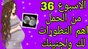 الاسبوع 36 من الحمل .بداية الشهر التاسع اهم التطورات لك ولجنينك - YouTube