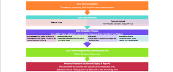 Born Data Entry And Validation Process Flow Chart For