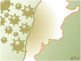 En esta página encontrarás estadísticas sobre el impacto del coronavirus en la argentina. Contagio De La Deuda Primera Edicion