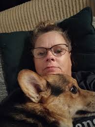 Rehoming a Tri-Colored Pembroke Welch Corgi in Miami Township