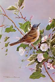 Inspiring Birds Quotes Beautiful Birds Painting Basil Ede Painting Suluboya Resimler Tablolar Hayvanlar