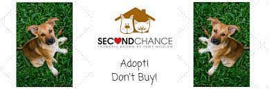 21 unfixed cats were found in a trailer after their owner passed away. Home Second Chance Animal Society Malaysia