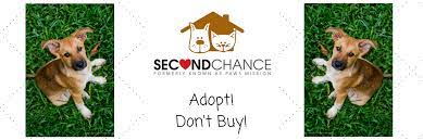 Any viewings of our animals are strictly by appointments only. Home Second Chance Animal Society Malaysia