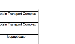 Display Borders On Pdf Table 1355440 Drupal Org
