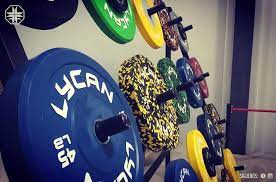 New The 10 Best Home Decor With Pictures Variety Is Key Lycanfitnessaus Bumper Lycanathlete Lycanathletes Lycan Fitness Body Gym Bodybuilding