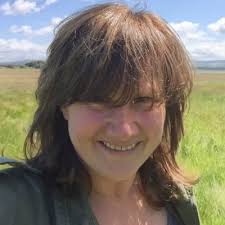 Traffic pollution impairs brain function: First-in-the-world study suggests  that even brief exposure to air pollution has rapid impacts