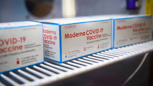 Moderna's covid vaccine generated $4.2 billion in sales in the. Oppenheimer And Piper Sandler Downgrade Moderna Stock