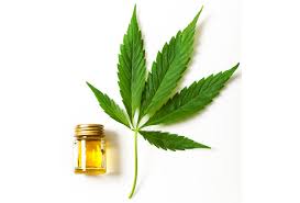 Image result for CBD