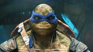 Leadership Lessons From the Teenage Mutant Ninja Turtles | Inc.com