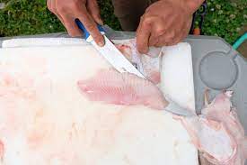 How To: Fillet A Skate — Elevated Wild