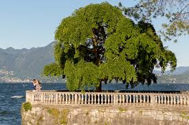 Isola madre, isola pescatori e isola bella Engagement Sul Lago Maggiore Servizio Fotografico Stresa Isola Bella Isole Borromee
