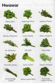 Macha is actually a tamil word which means wife's brother or son of your dad's sister. Newest Celery Leaves In Kannada Sale Off 63