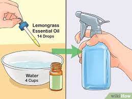 I'll fly away with you. 3 Ways To Keep Fruit Flies Away Wikihow