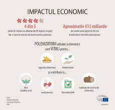 Stiri interne • pe 05.03.2019 la 19:23. Apicultori Lumea Satului