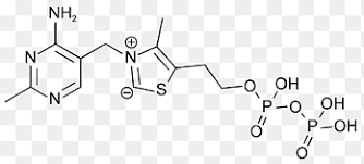 Thiamine pyrophosphate (tpp or thpp), or thiamine diphosphate (thdp), or cocarboxylase is a thiamine (vitamin b 1) derivative which is produced by the enzyme thiamine diphosphokinase. Thiamine Pyrophosphate Png Images Pngegg