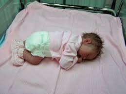 Birds And Bees Nursery Julie Molloy Birds Bees Nursery Silicone Babies Cute Baby Dolls Silicone Reborn Babies Realistic Baby Dolls