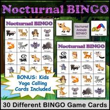 Learning about nocturnal animals is fun because we don't often get a chance to observe them like diurnal animals that are awake during the day. Nocturnal Animals For Preschool Worksheets Teaching Resources Tpt