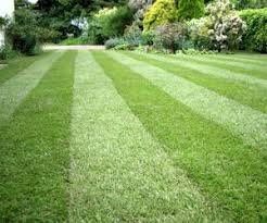 You will have to generate sufficient business to pay for the insurance. Insurance Quotes For Lawn Care Business In Minnesota Personal Business Life Health Minnesota Ellis Insurance Agency Dogtrainingobedienceschool Com