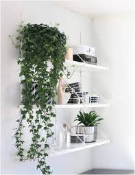 11 Trepadoras De Interior Plantas Colgantes De Interior Plantas De Interior Decoracion Plantas