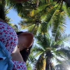 Cuyalloween 🎃🌴⛺ #halloween #cuyagua #latina #playa #quehacer #viajes  #amigos