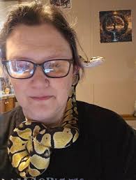 Pluto is the pet of which famous Disney character