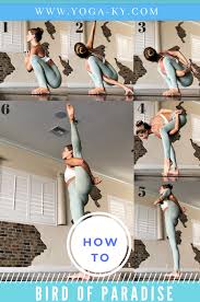 How To Bird Of Paradise Yoga Ky Bird Of Paradise Yoga Yoga Postures Types Of Yoga