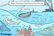 The Ocean Has Issues: 7 Biggest Problems Facing Our Seas, and How ...