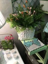 Pin By Gail Marie Newman Stewart The On The Muckingbyrd Lancaster Pa Plants Lancaster