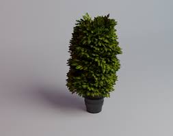 All free 3d models library. Three Cactus And Ficus In Pots 3d Cgtrader