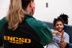 Image result for Brown 1980 Evans Coach Lines