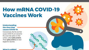 It focuses on vaccine technologies based on messenger rna (mrna). Understanding Mrna Covid 19 Vaccines Cdc