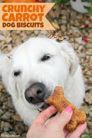 crunchy carrot dog biscuits bitz