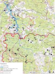 Image result for Chionodes electellus