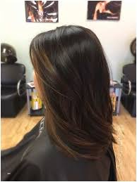 12 Hottest Fall Winter Hair Color Ideas For Women 2020 Pouted Com Black Hair With Highlights Trendy Hair Color Hair Color Light Brown