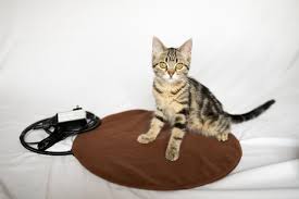 Vivosun durable waterproof seedling heat mat warm hydroponic heating pad 10 x 20.75 met standard 4.6 out of 5 stars 10,477 #1 best seller in plant heating mats The Kitty Tube Pet Heating Pad