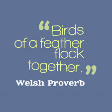 Proverb Birds Of The Same Feather Flock Together Welsh Proverb About Club Proverbs Southern Sayings Together Quotes