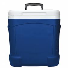 I say 30 quarts in the video, but it's actually a 60 quart cooler. Igloo Ice Cube 60 Quart Roller Cooler Shop Your Way Online Shopping Earn Points On Tools Appliances Electronics More