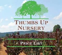However some wholesale nursery web sites do have lists of retailers. Thumbs Up Nursery Thumbs Up Nursery